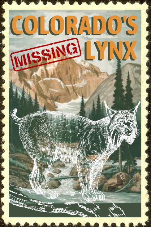 Colorado’s Missing Lynx