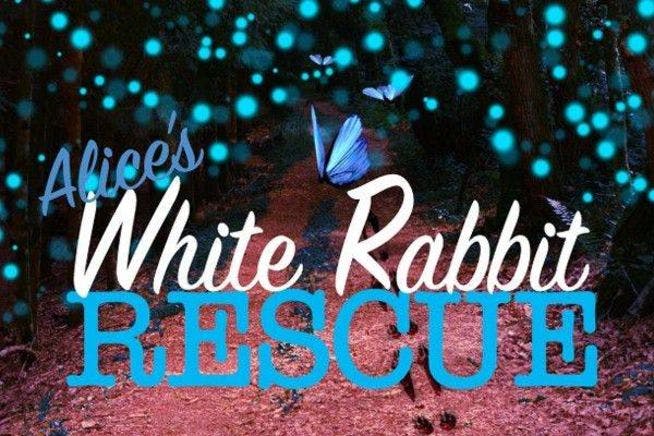Alice's White Rabbit Rescue